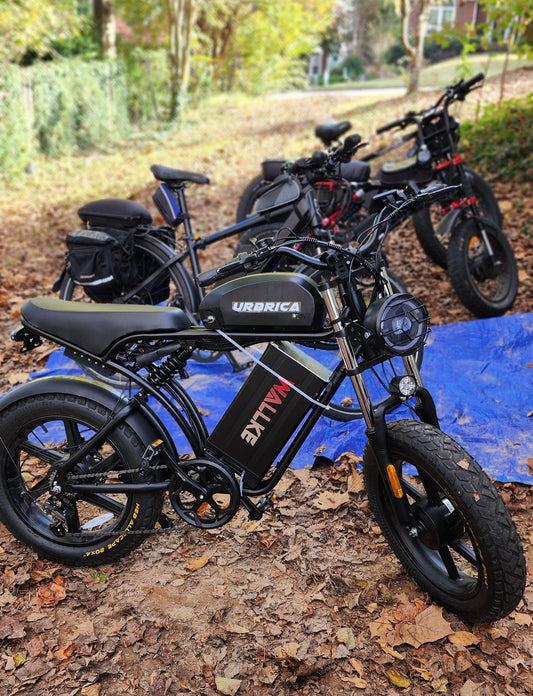 Self-Diagnose Your E-Bike in Gwinnett County